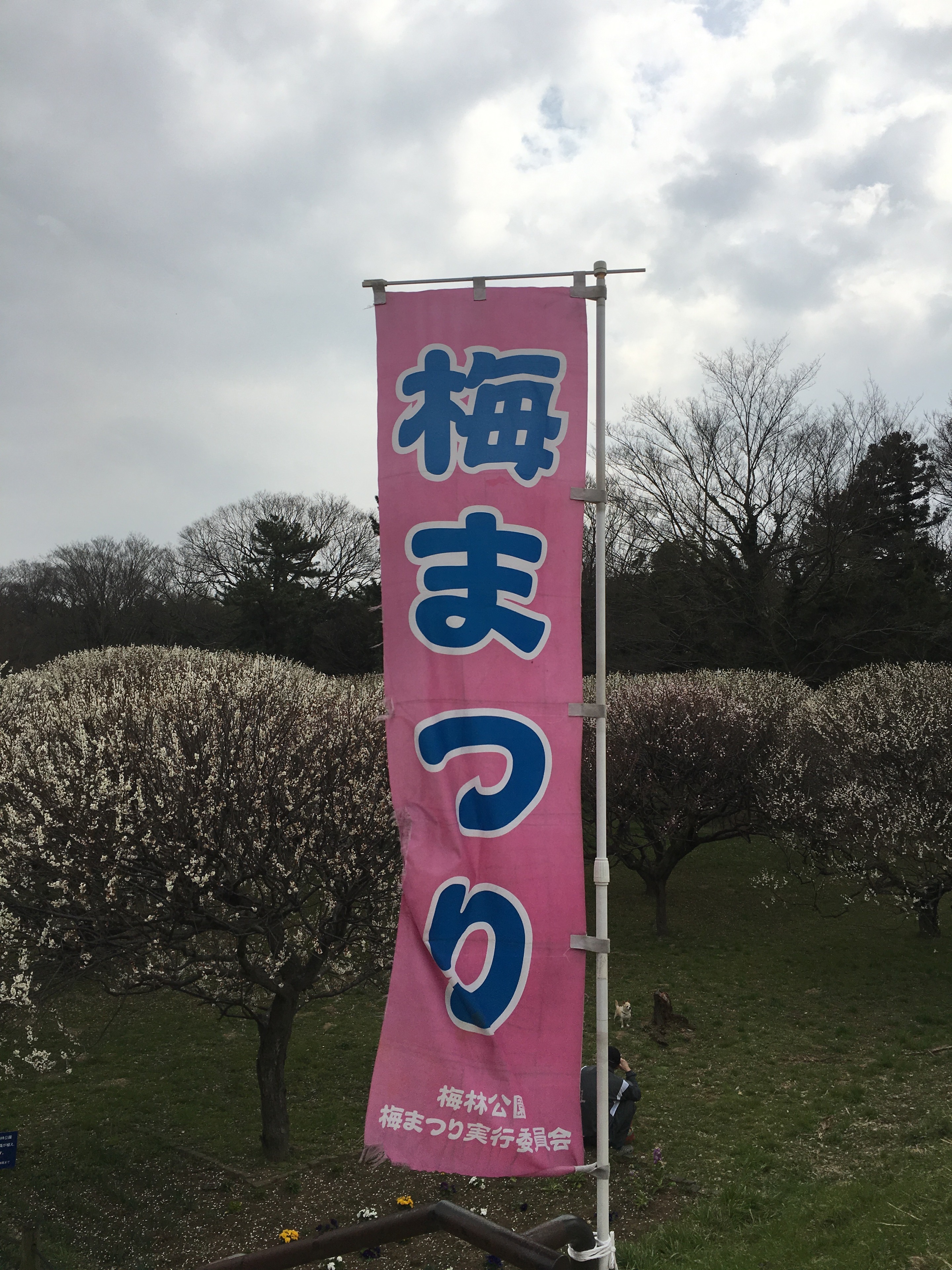 梅林公園